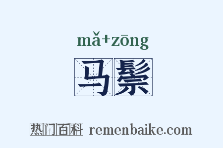 马鬃是什么意思的图片